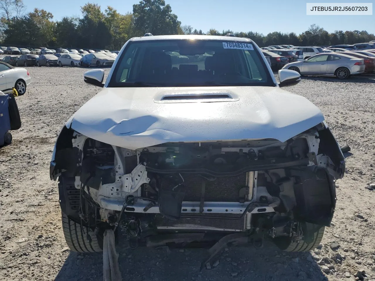 2018 Toyota 4Runner Sr5/Sr5 Premium VIN: JTEBU5JR2J5607203 Lot: 76948314