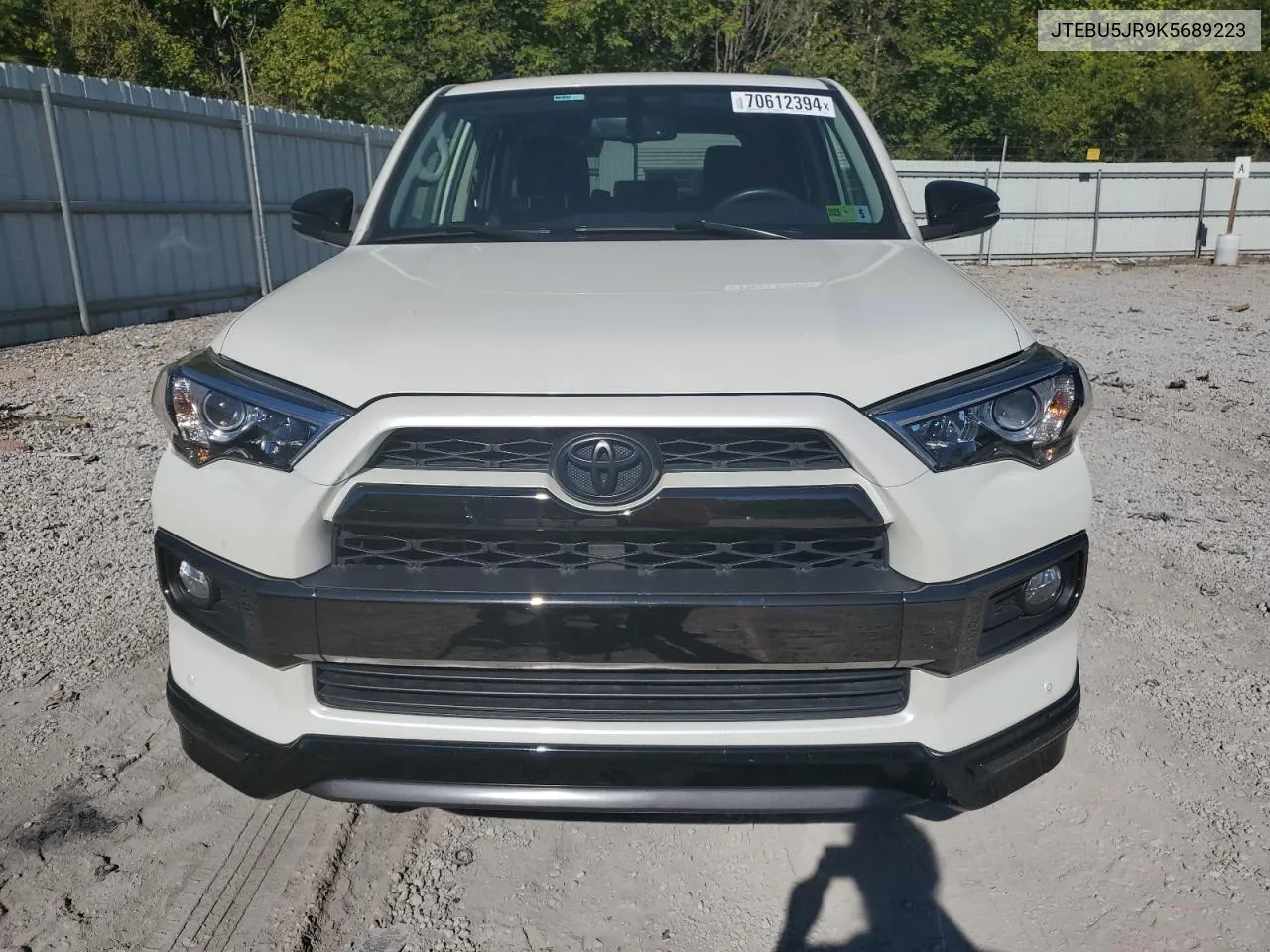 2019 Toyota 4Runner Sr5 VIN: JTEBU5JR9K5689223 Lot: 70612394