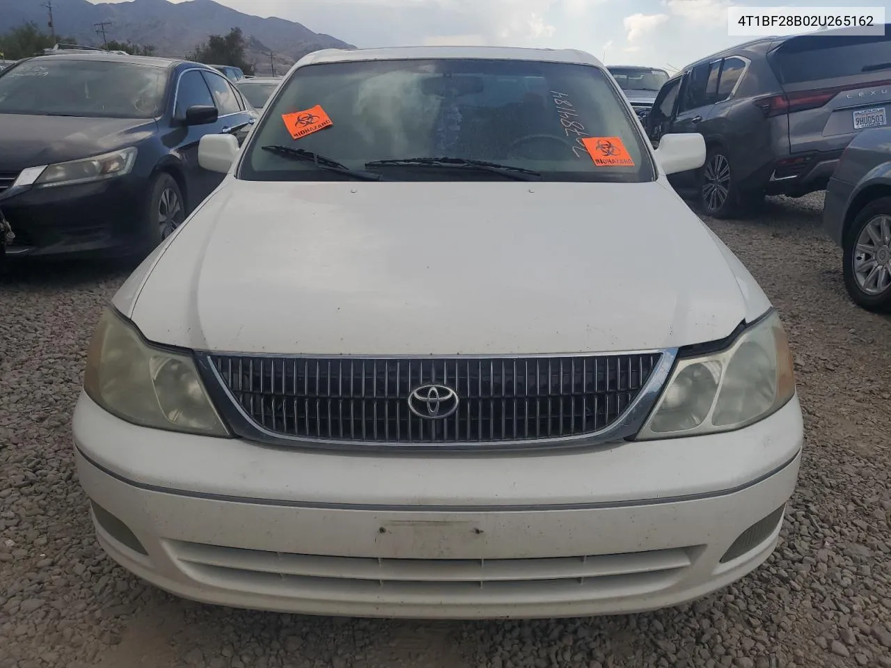 2002 Toyota Avalon Xl VIN: 4T1BF28B02U265162 Lot: 70784184