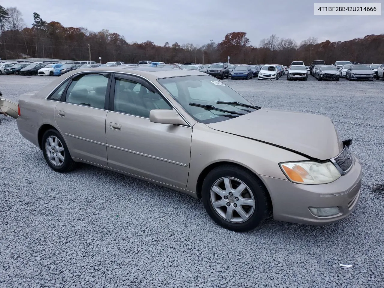 2002 Toyota Avalon Xl VIN: 4T1BF28B42U214666 Lot: 77141633