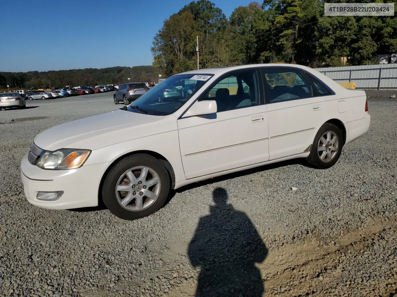 2002 Toyota Avalon Xl VIN: 4T1BF28B22U203424 Lot: 77189744