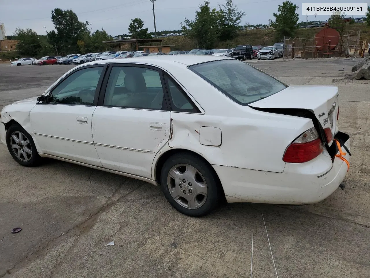 2003 Toyota Avalon Xl VIN: 4T1BF28B43U309181 Lot: 71213874