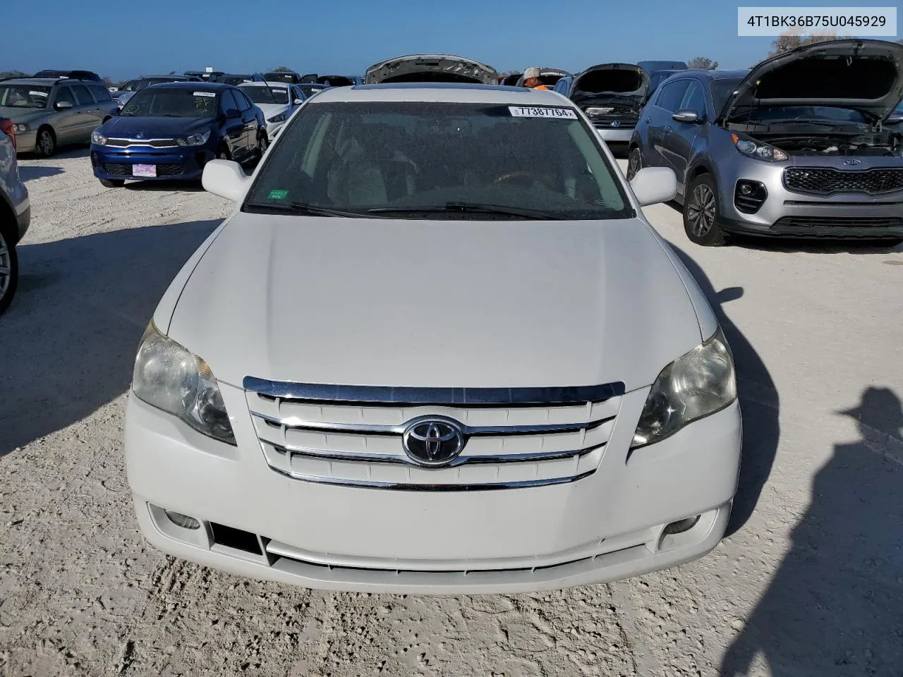 2005 Toyota Avalon Xl VIN: 4T1BK36B75U045929 Lot: 77387764