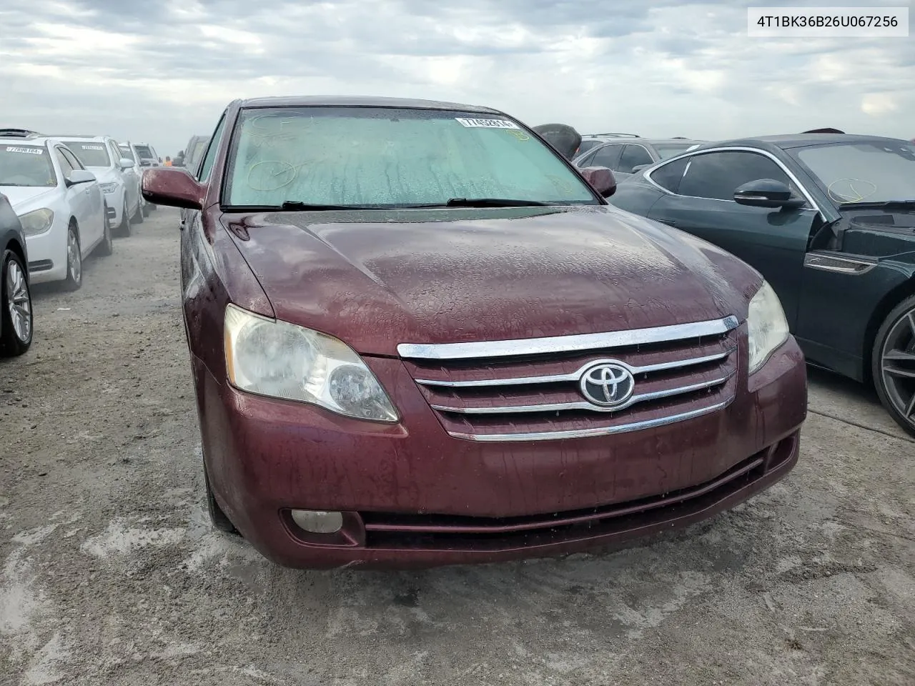 2006 Toyota Avalon Xl VIN: 4T1BK36B26U067256 Lot: 77452814