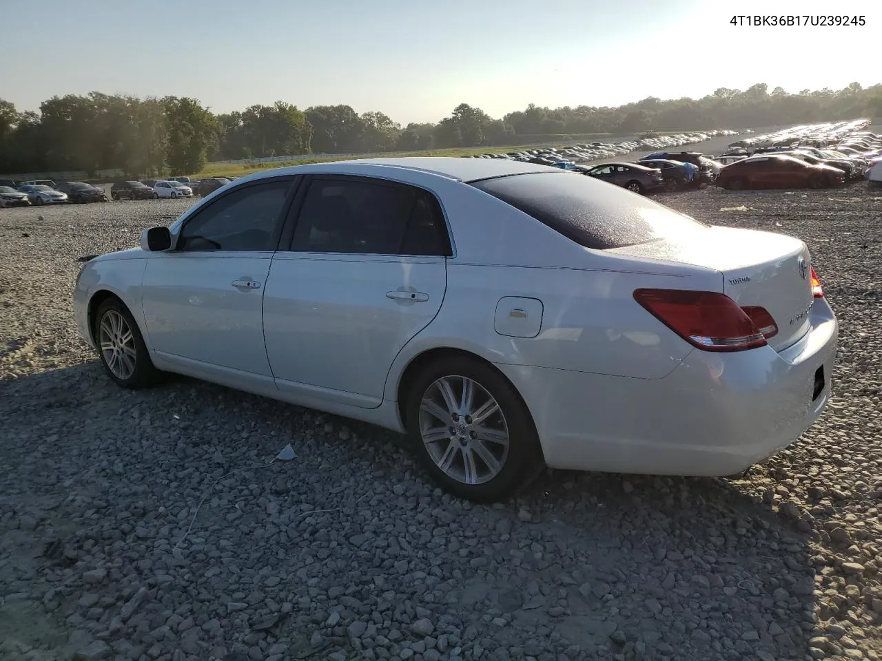 2007 Toyota Avalon Xl VIN: 4T1BK36B17U239245 Lot: 68978434