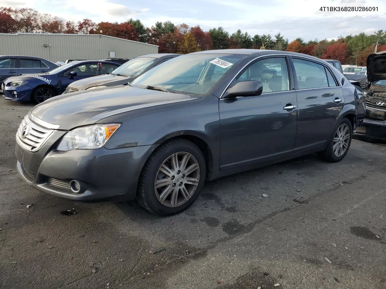 2008 Toyota Avalon Xl VIN: 4T1BK36B28U286091 Lot: 78929804