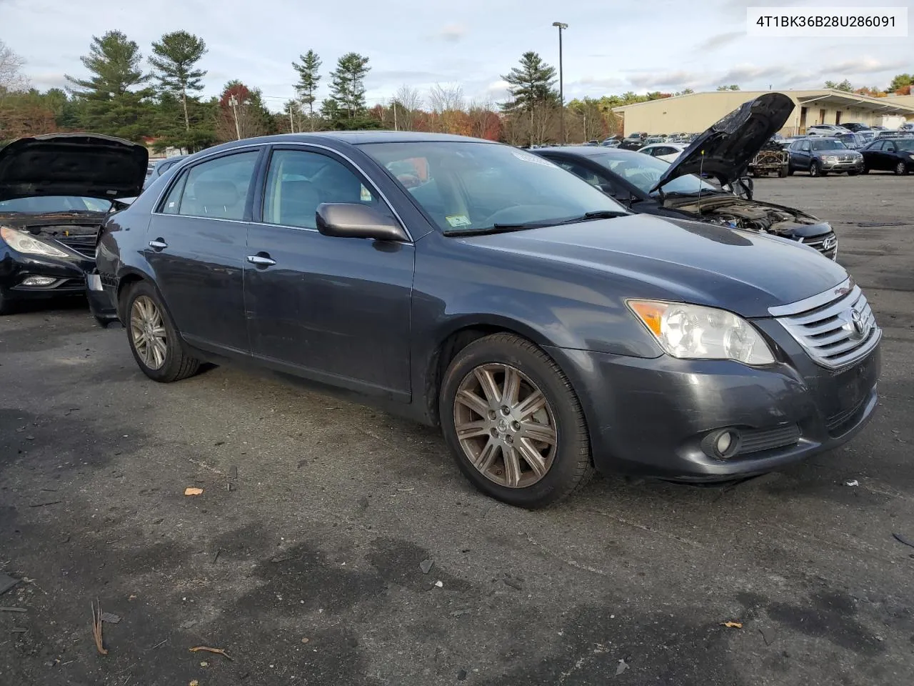 2008 Toyota Avalon Xl VIN: 4T1BK36B28U286091 Lot: 78929804