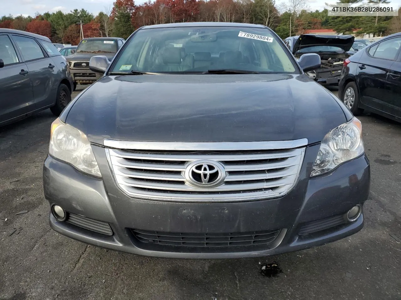 2008 Toyota Avalon Xl VIN: 4T1BK36B28U286091 Lot: 78929804