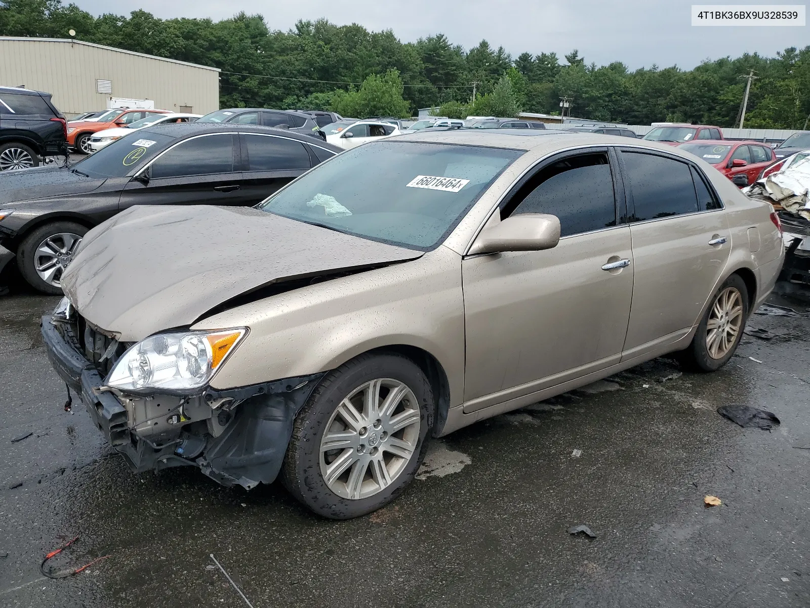 2009 Toyota Avalon Xl VIN: 4T1BK36BX9U328539 Lot: 66016464