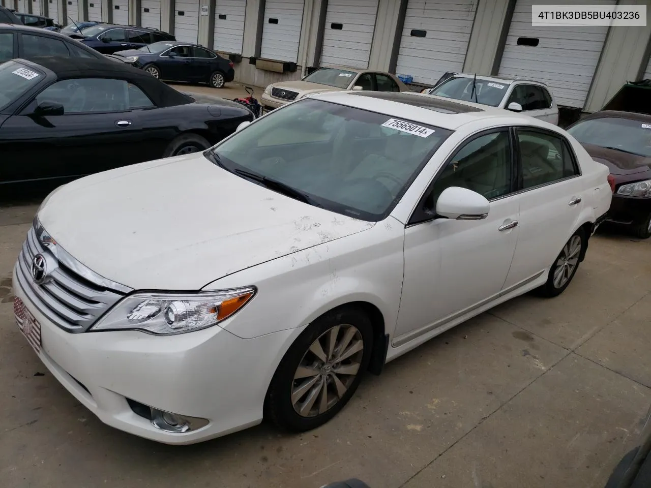 2011 Toyota Avalon Base VIN: 4T1BK3DB5BU403236 Lot: 75565014