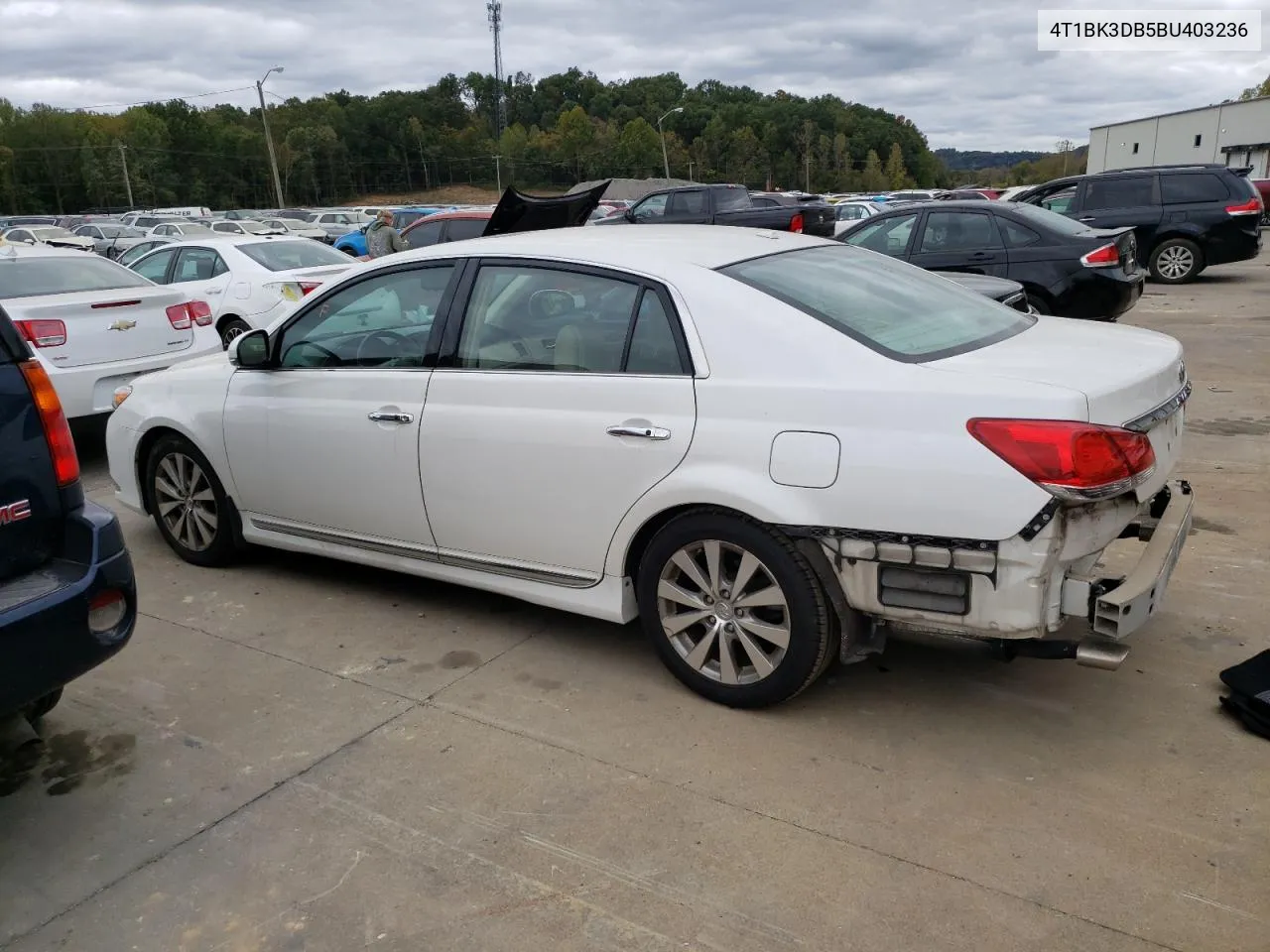 2011 Toyota Avalon Base VIN: 4T1BK3DB5BU403236 Lot: 75565014