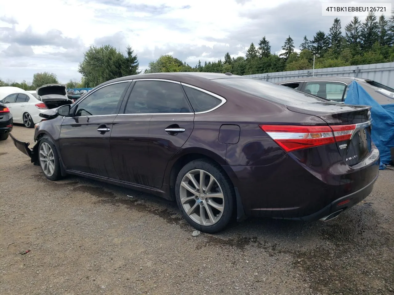 2014 Toyota Avalon Base VIN: 4T1BK1EB8EU126721 Lot: 68420944