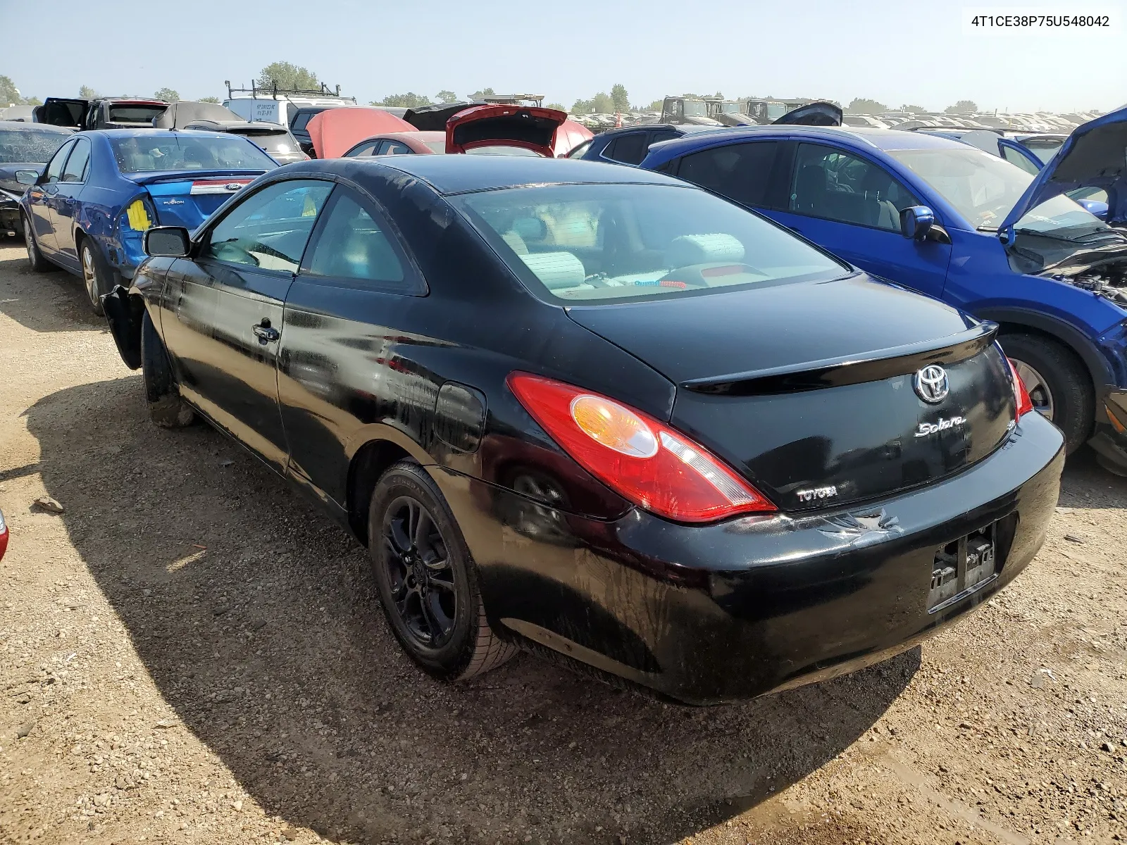 2005 Toyota Camry Solara Se VIN: 4T1CE38P75U548042 Lot: 68685584