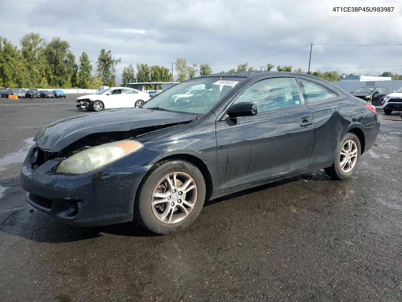 2005 Toyota Camry Solara Se VIN: 4T1CE38P45U983987 Lot: 74929924