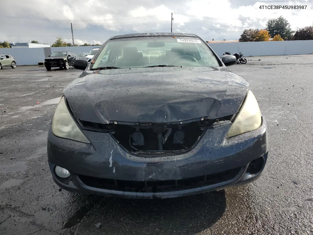 2005 Toyota Camry Solara Se VIN: 4T1CE38P45U983987 Lot: 74929924