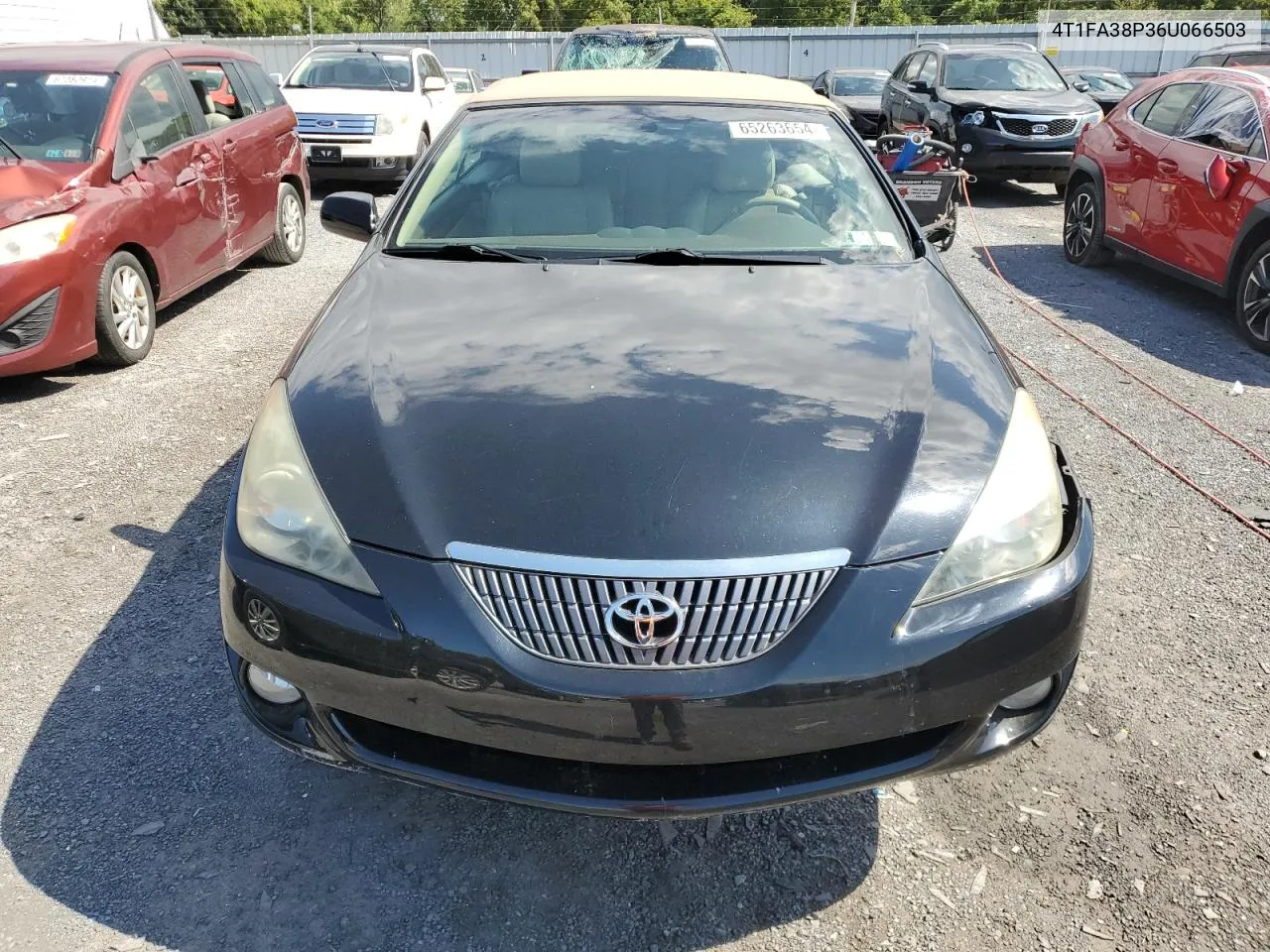 2006 Toyota Camry Solara Se VIN: 4T1FA38P36U066503 Lot: 65263654