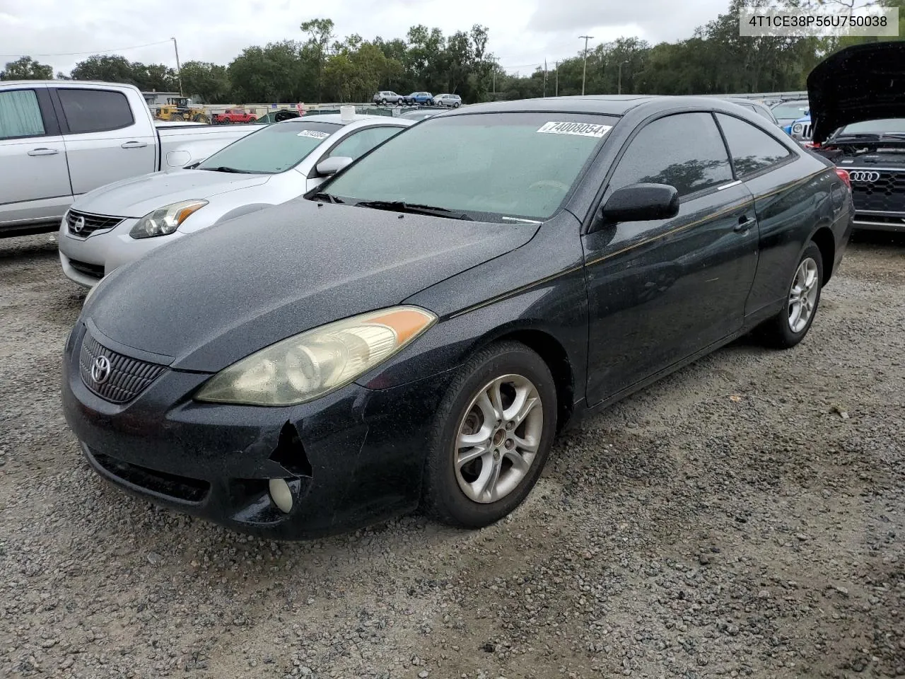 2006 Toyota Camry Solara Se VIN: 4T1CE38P56U750038 Lot: 74008054