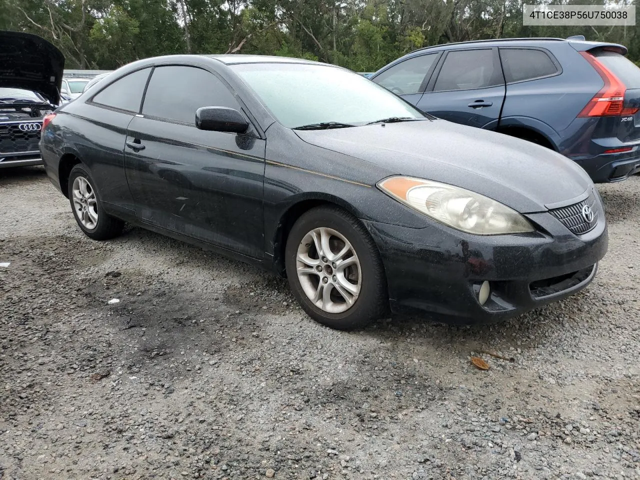 2006 Toyota Camry Solara Se VIN: 4T1CE38P56U750038 Lot: 74008054