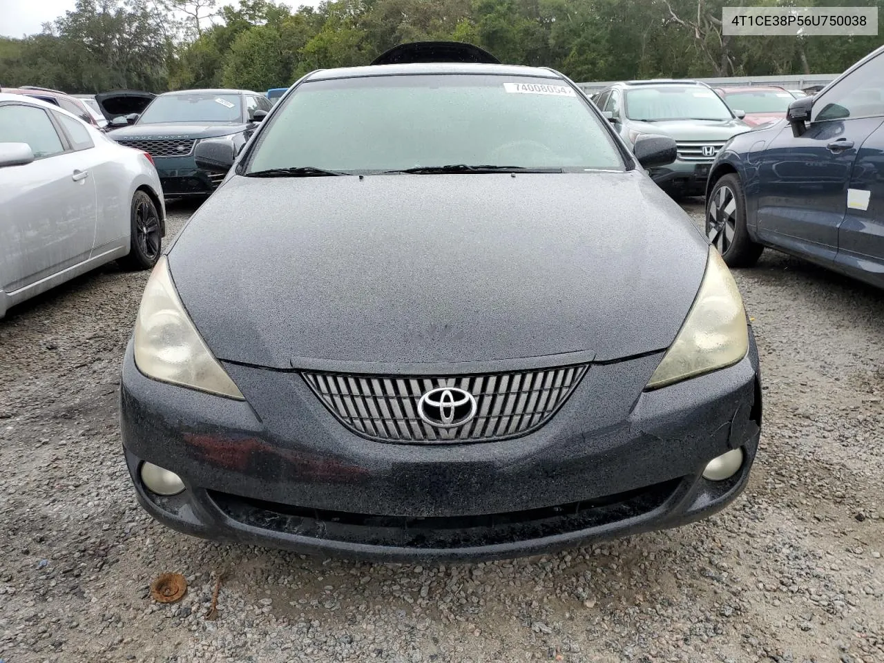 2006 Toyota Camry Solara Se VIN: 4T1CE38P56U750038 Lot: 74008054