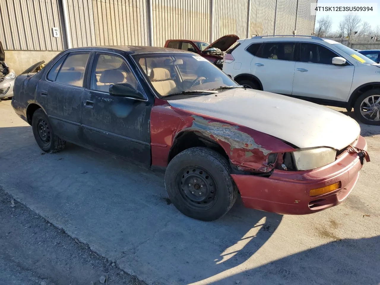 4T1SK12E3SU509394 1995 Toyota Camry Le