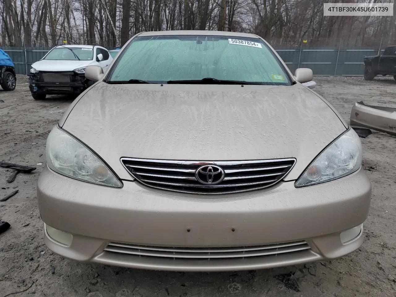 2005 Toyota Camry Le VIN: 4T1BF30K45U601739 Lot: 50387854