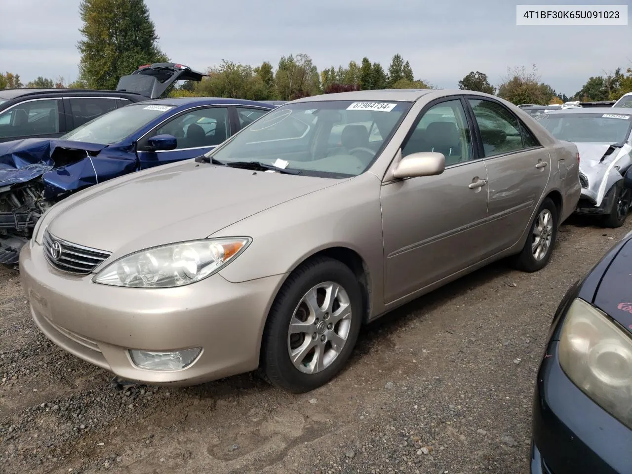 4T1BF30K65U091023 2005 Toyota Camry Le