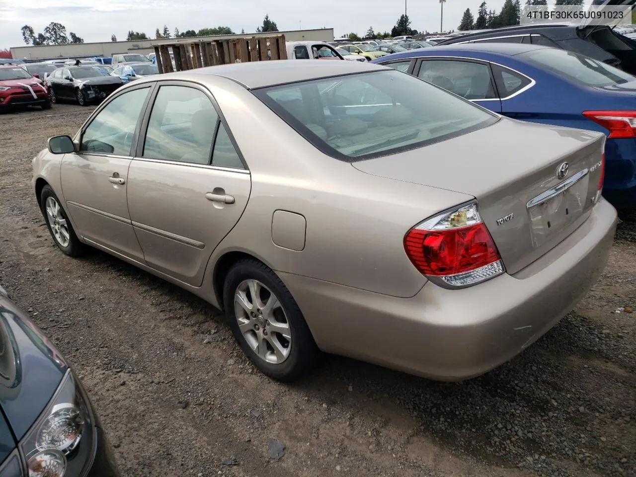 4T1BF30K65U091023 2005 Toyota Camry Le