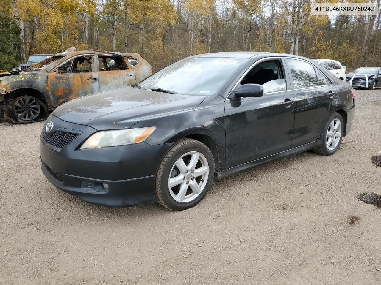 2008 Toyota Camry Ce VIN: 4T1BE46KX8U750242 Lot: 77675024