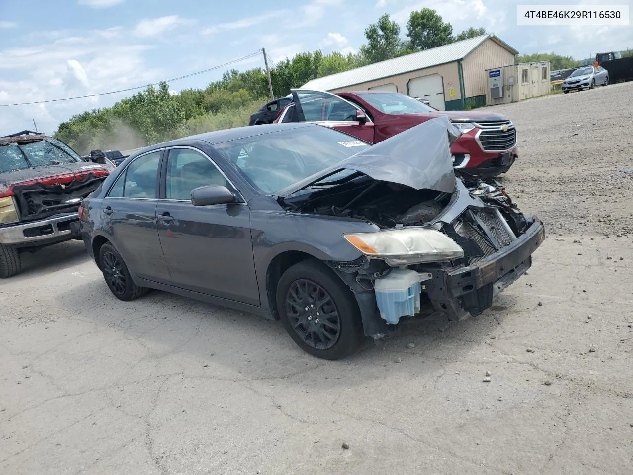 4T4BE46K29R116530 2009 Toyota Camry Base