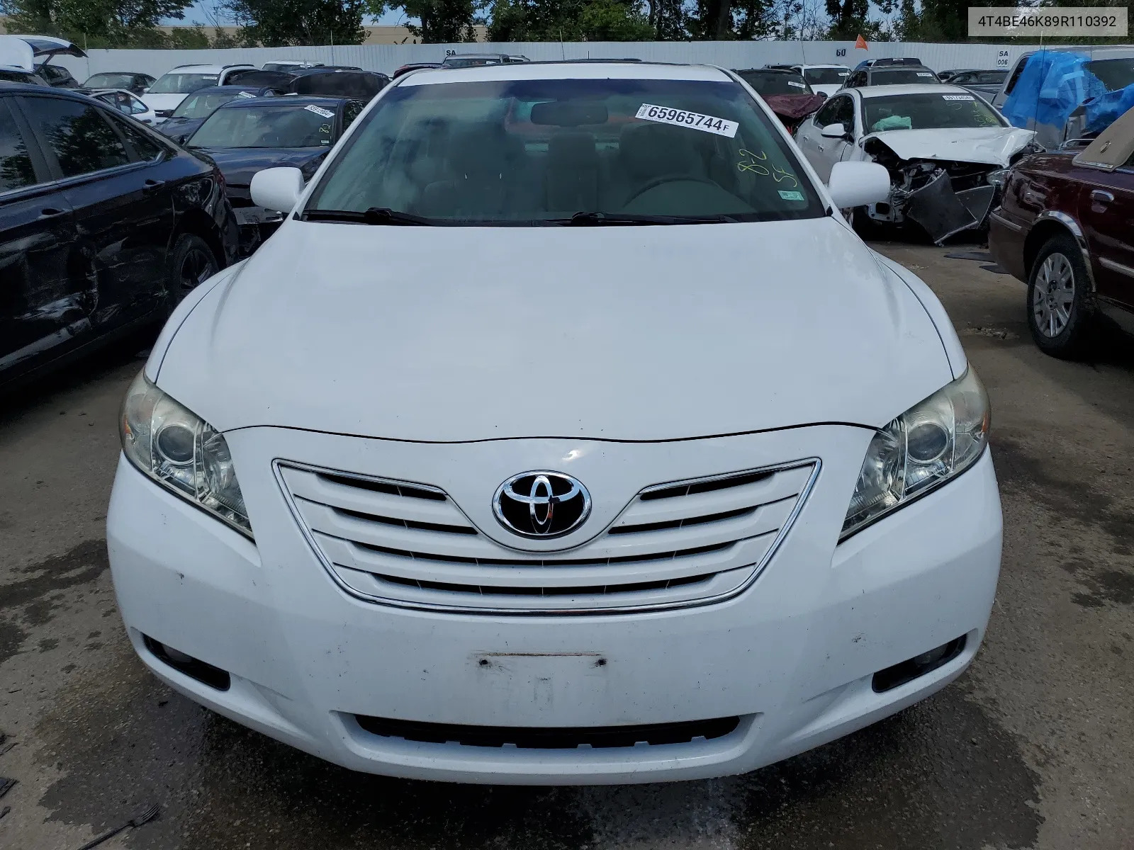 2009 Toyota Camry Base VIN: 4T4BE46K89R110392 Lot: 65965744