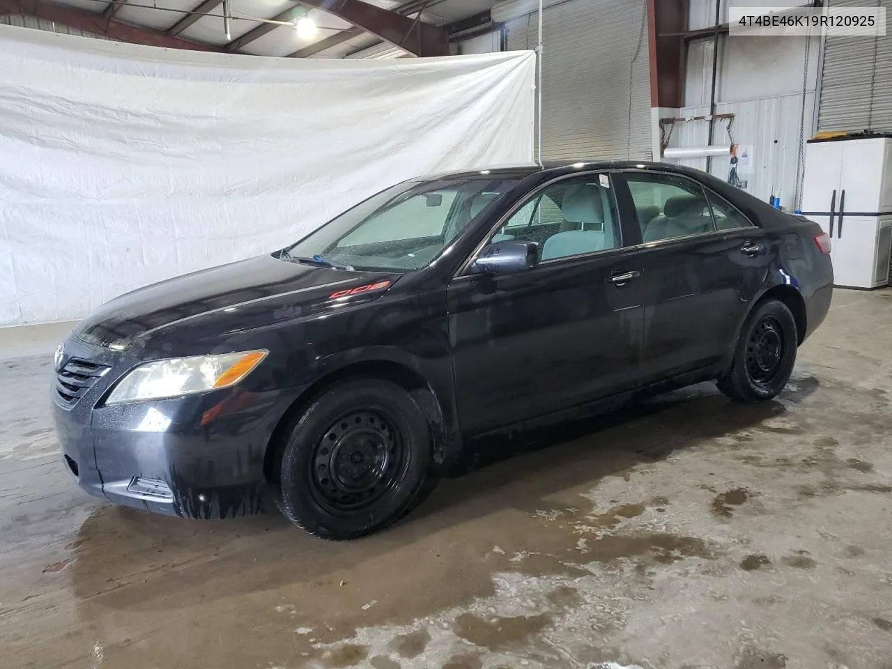 2009 Toyota Camry Base VIN: 4T4BE46K19R120925 Lot: 69035624