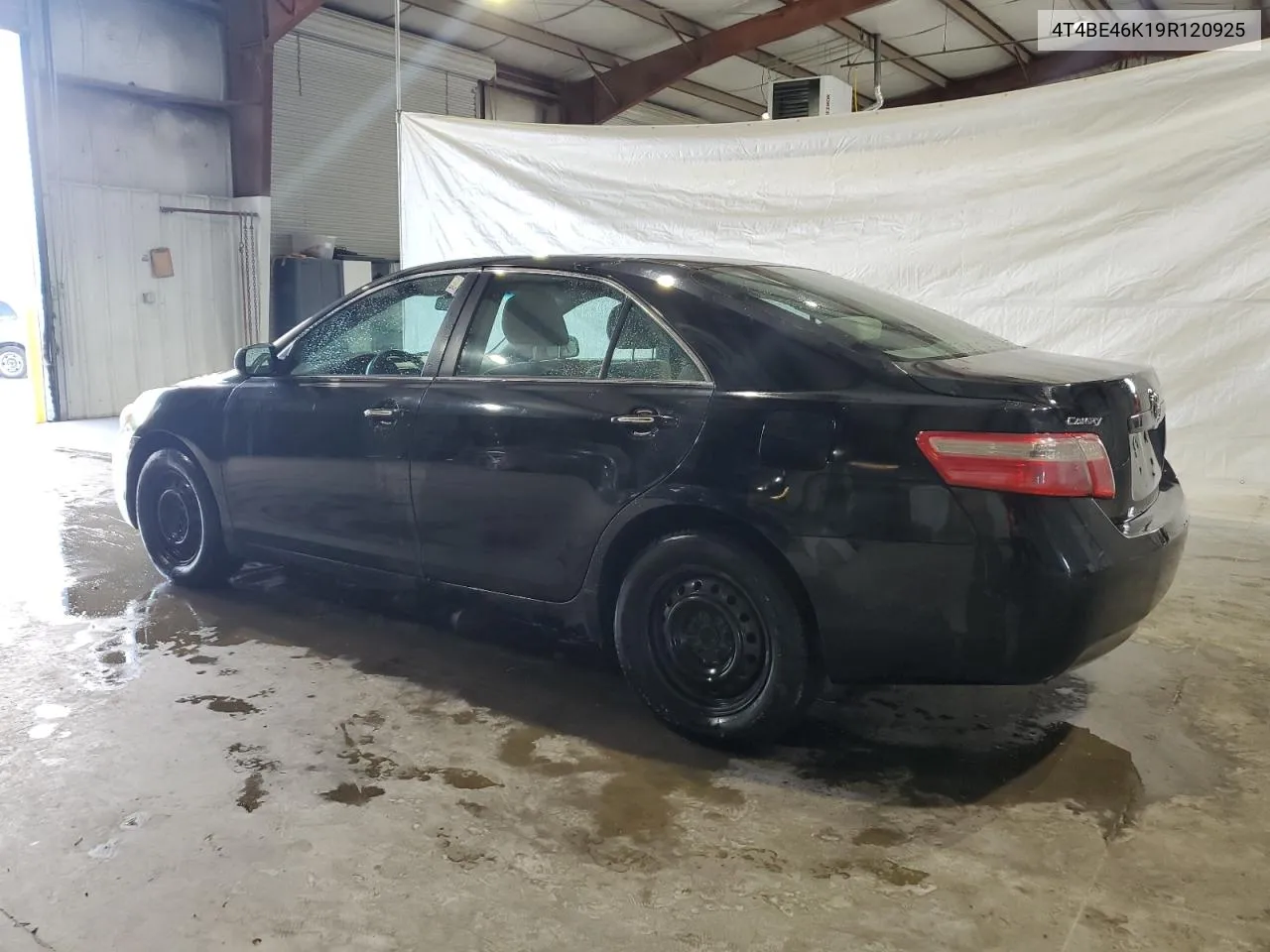 4T4BE46K19R120925 2009 Toyota Camry Base