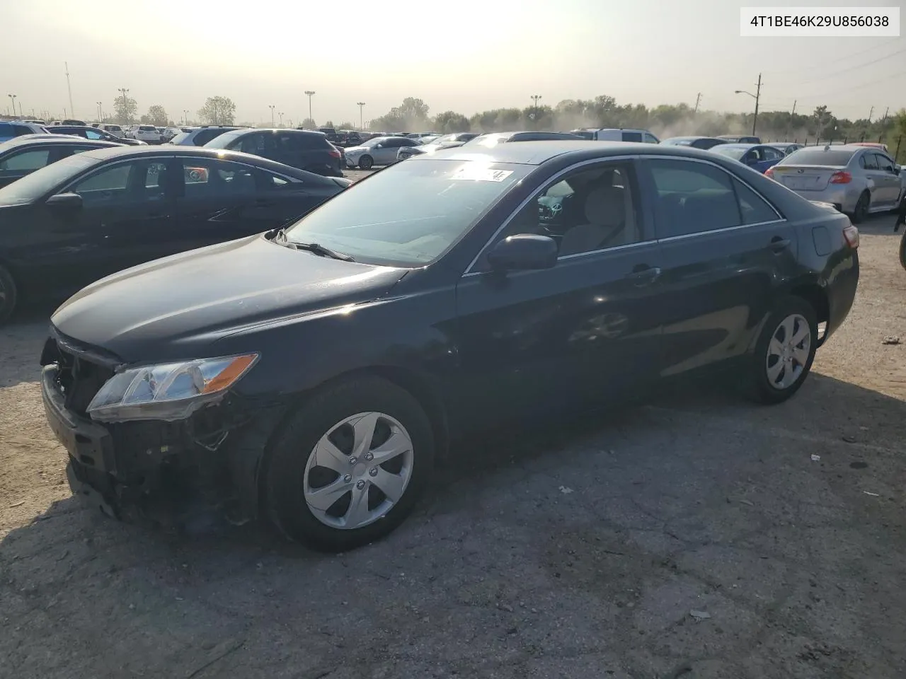 2009 Toyota Camry Base VIN: 4T1BE46K29U856038 Lot: 70891514