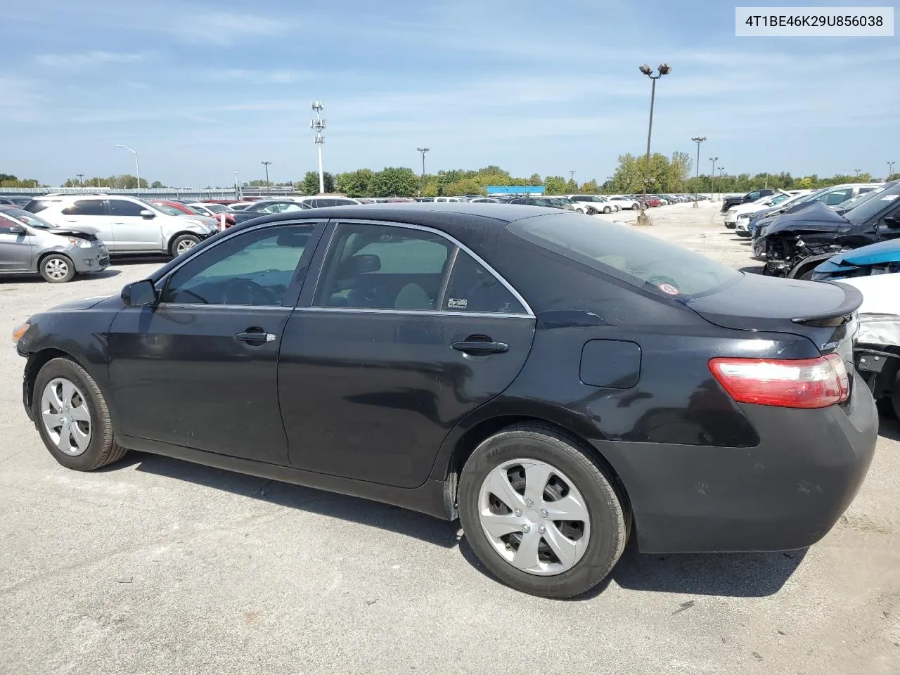 2009 Toyota Camry Base VIN: 4T1BE46K29U856038 Lot: 70891514