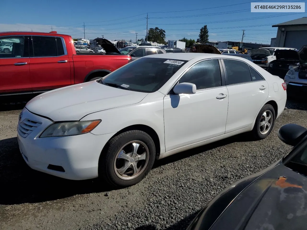 2009 Toyota Camry Base VIN: 4T4BE46K29R135286 Lot: 71130614