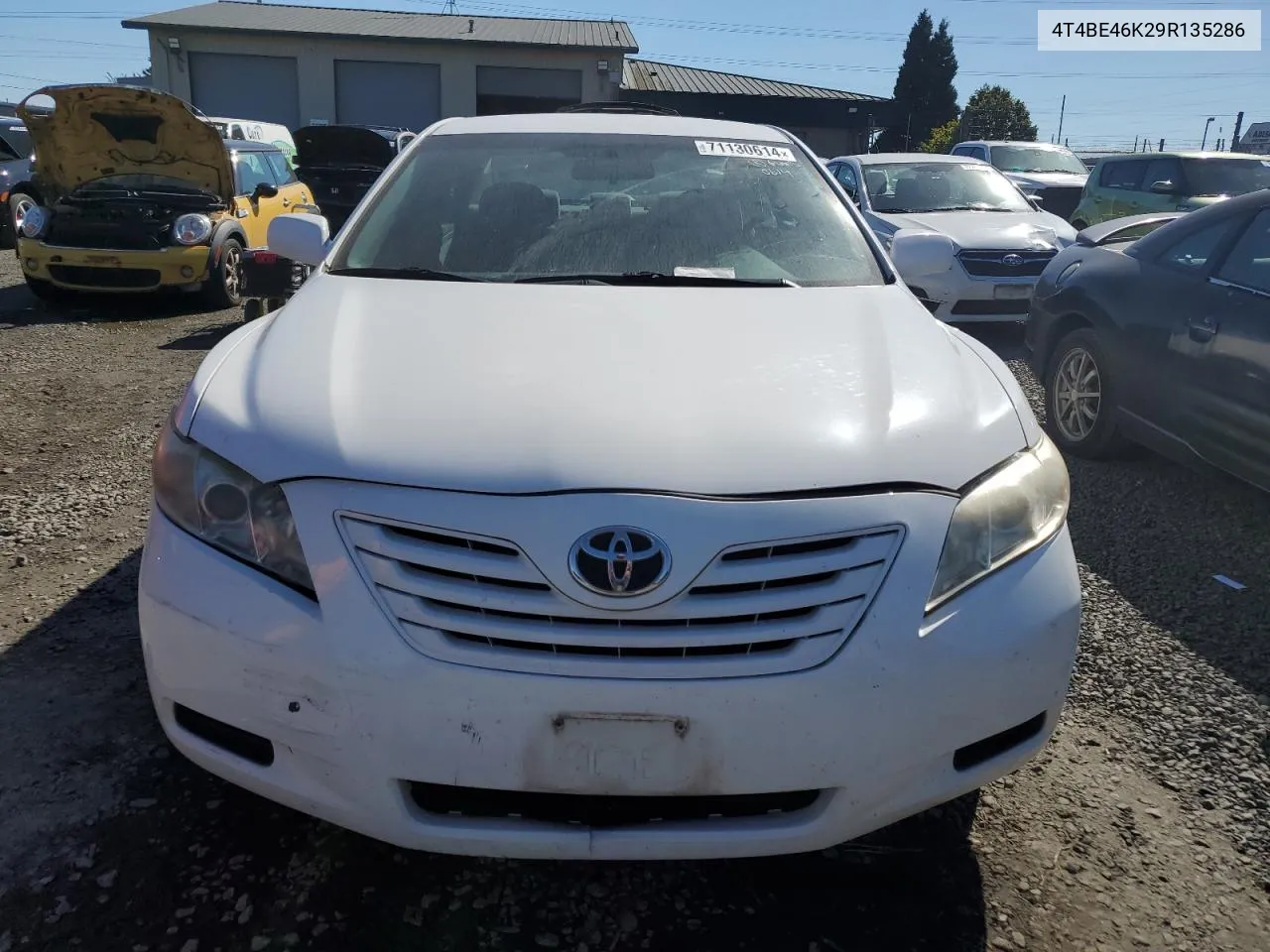 4T4BE46K29R135286 2009 Toyota Camry Base