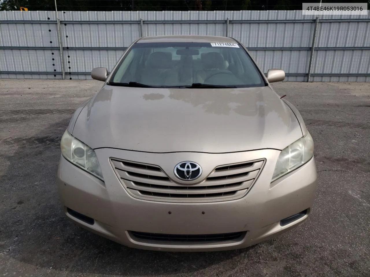 4T4BE46K19R053016 2009 Toyota Camry Base