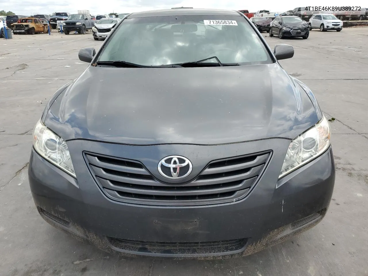 4T1BE46K89U389272 2009 Toyota Camry Base