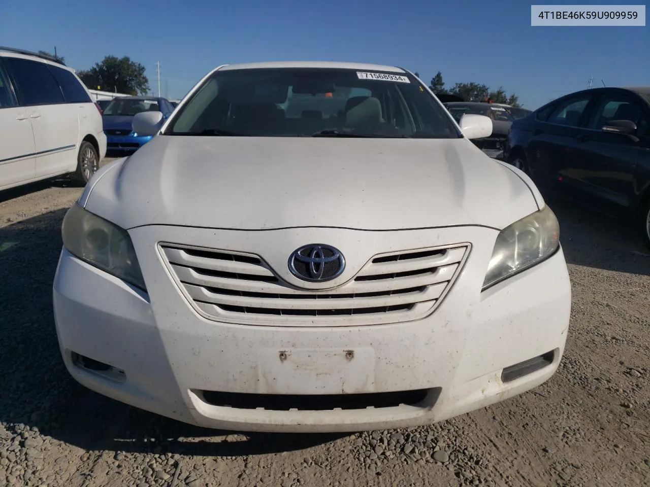 2009 Toyota Camry Base VIN: 4T1BE46K59U909959 Lot: 71568934