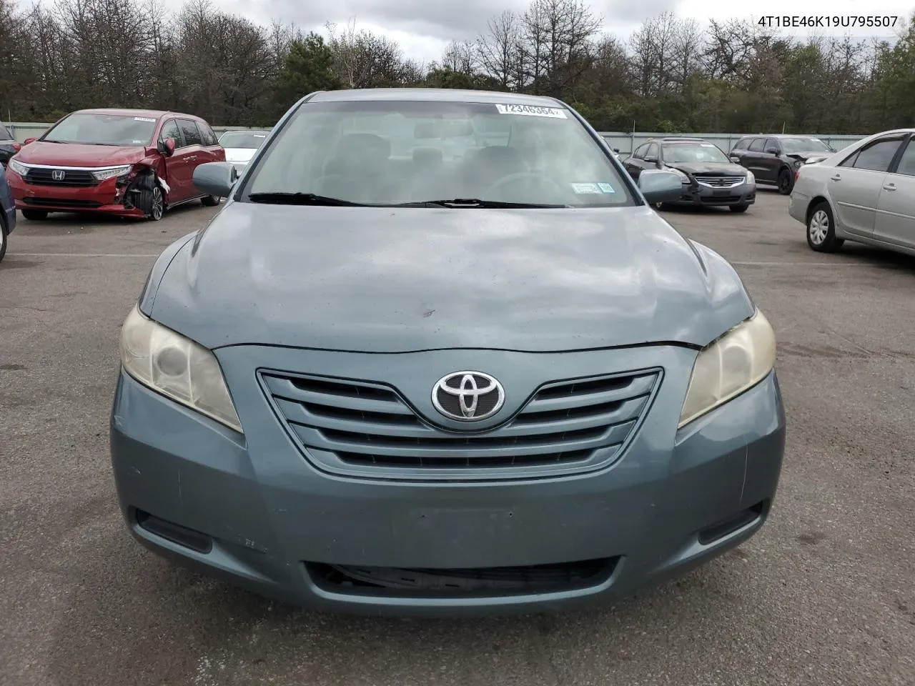 4T1BE46K19U795507 2009 Toyota Camry Base