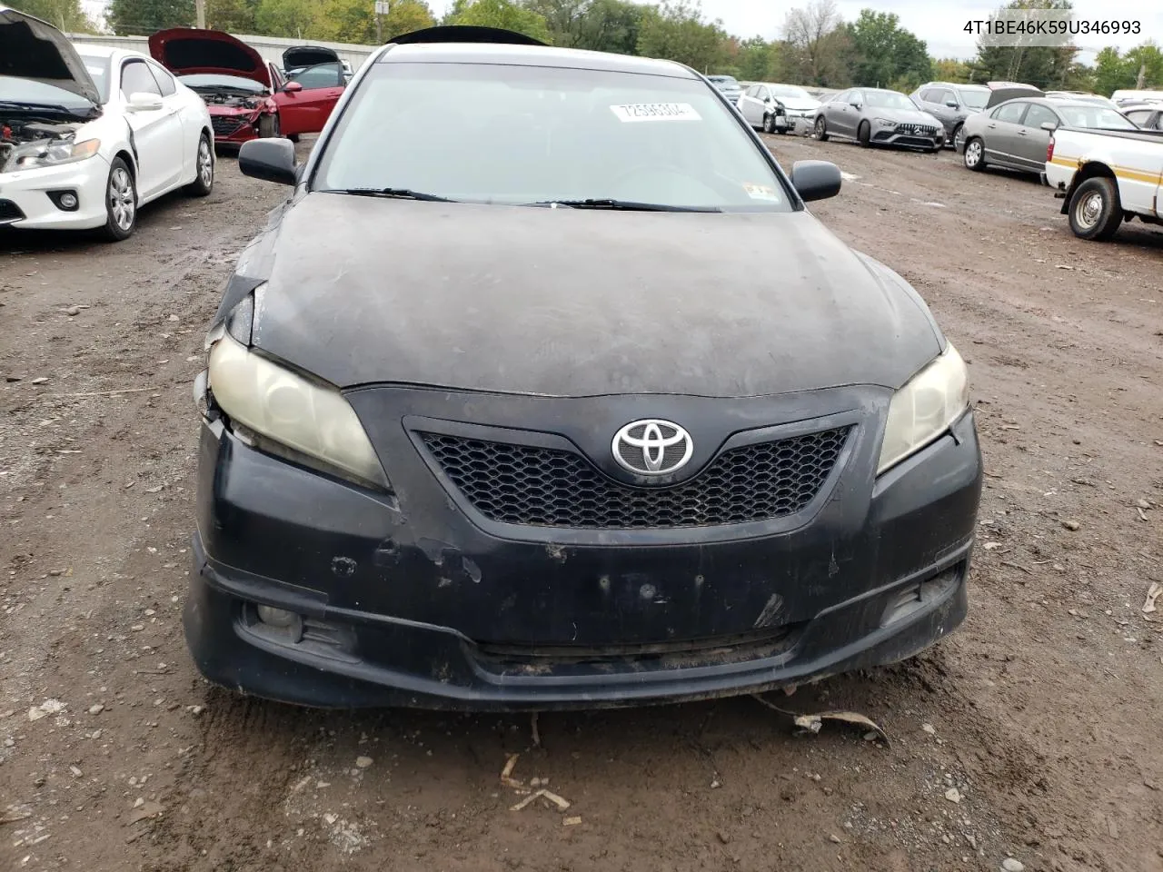 4T1BE46K59U346993 2009 Toyota Camry Base