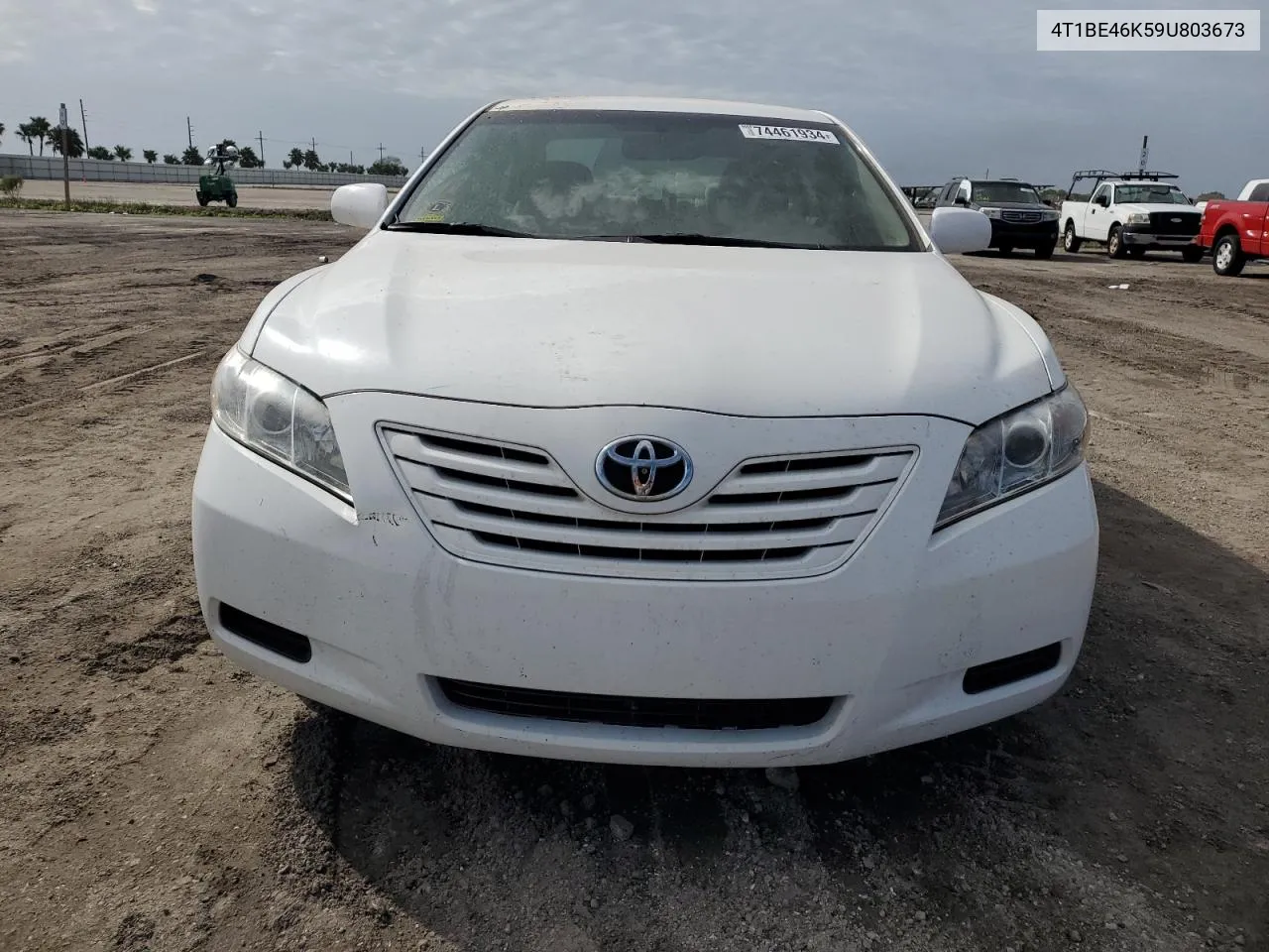 2009 Toyota Camry Base VIN: 4T1BE46K59U803673 Lot: 74461934