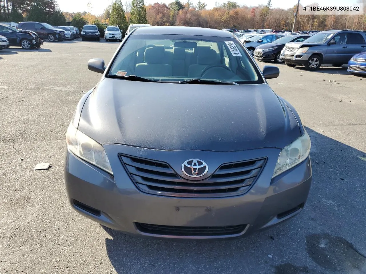 2009 Toyota Camry Base VIN: 4T1BE46K39U803042 Lot: 76660414