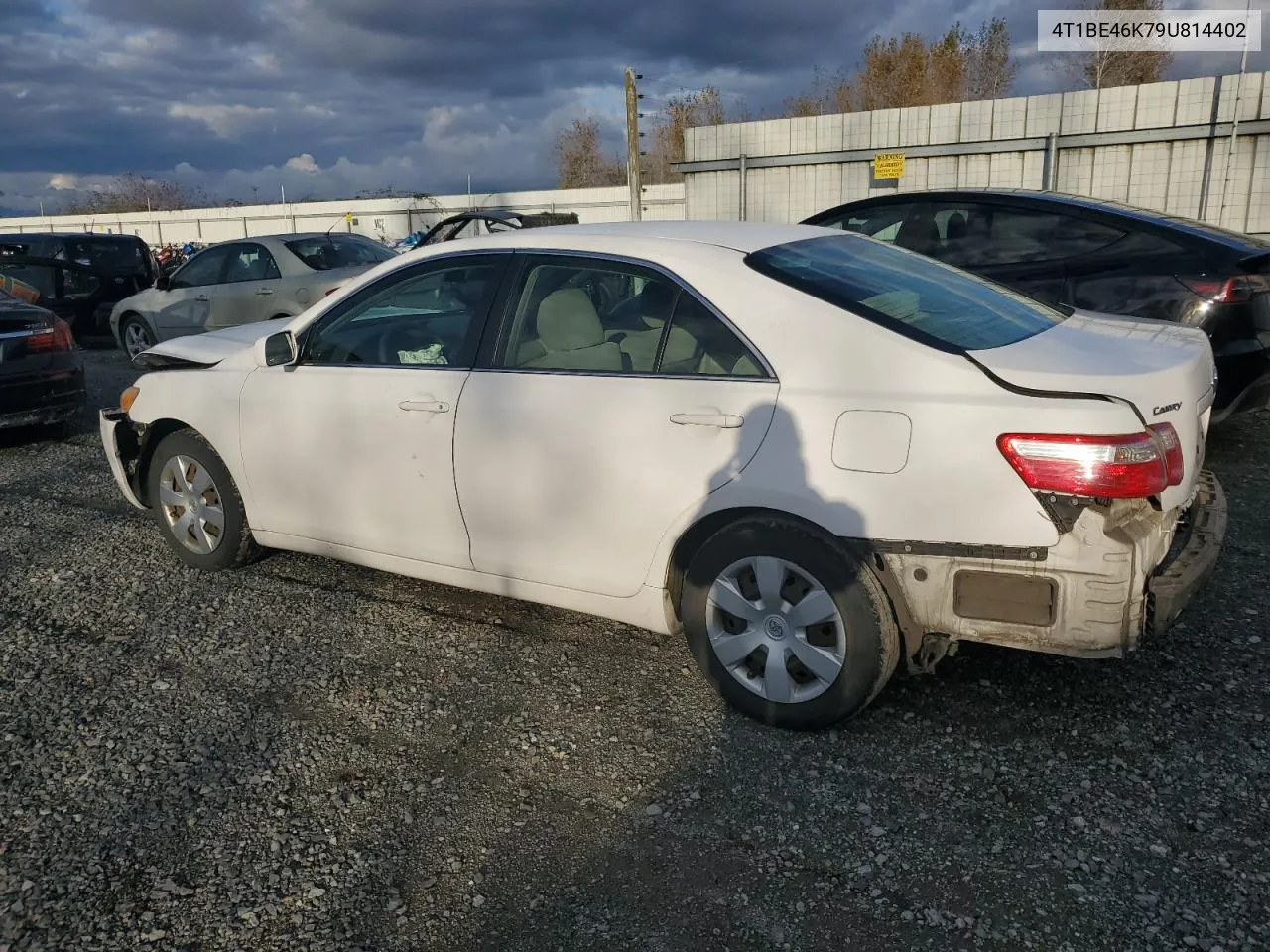 2009 Toyota Camry Base VIN: 4T1BE46K79U814402 Lot: 76789114