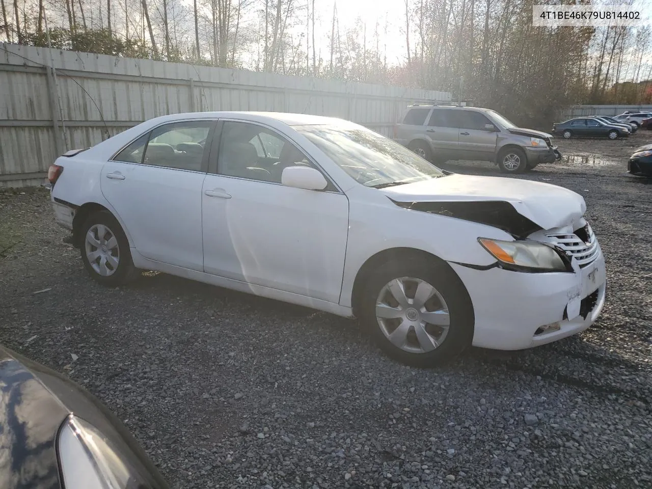 2009 Toyota Camry Base VIN: 4T1BE46K79U814402 Lot: 76789114