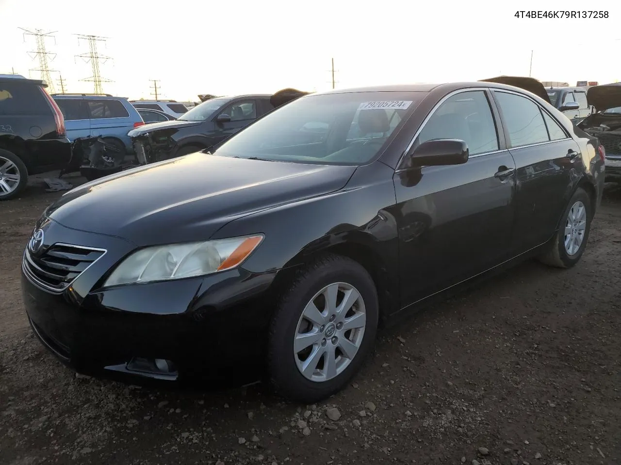 2009 Toyota Camry Base VIN: 4T4BE46K79R137258 Lot: 79205724