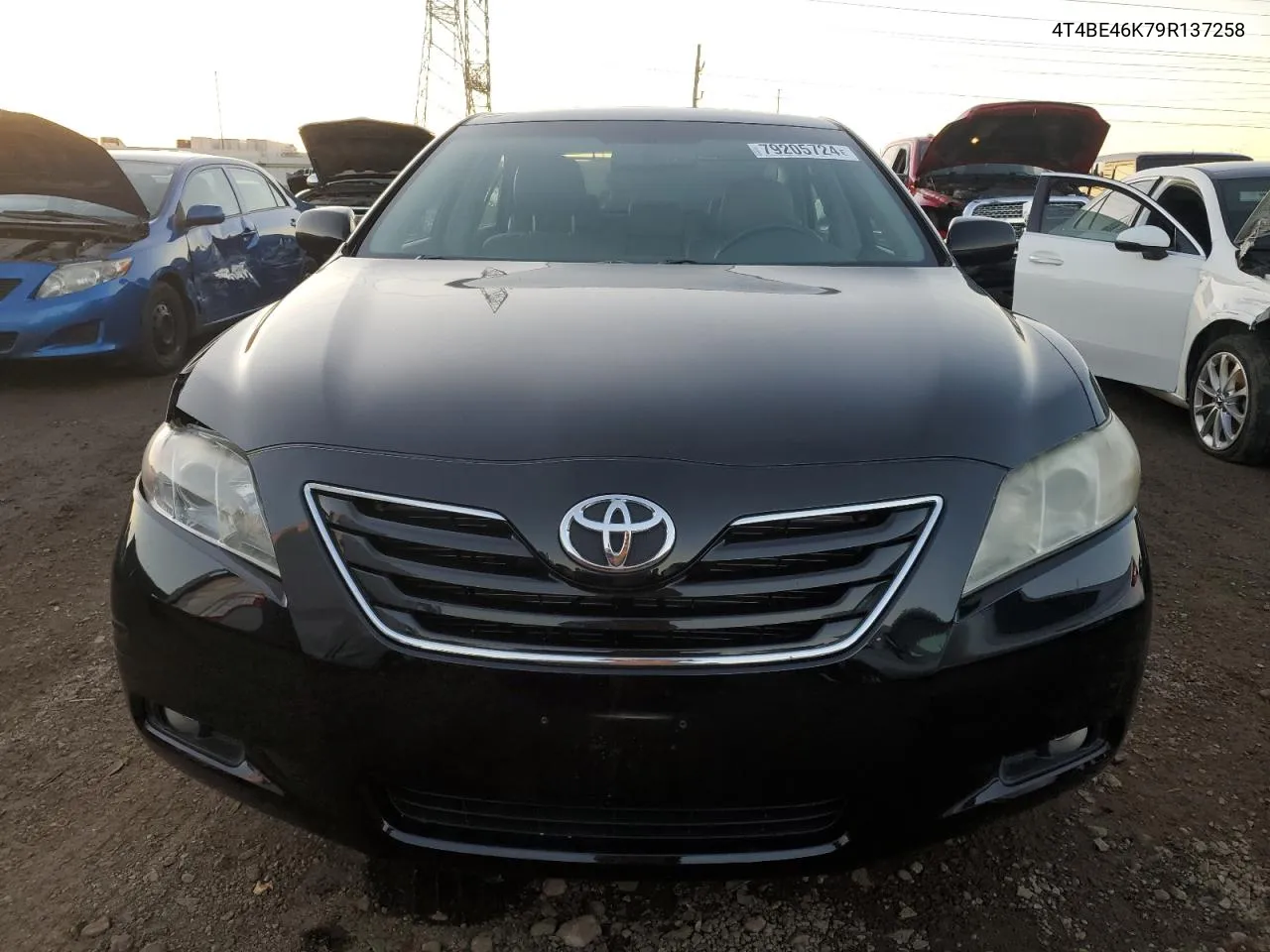 2009 Toyota Camry Base VIN: 4T4BE46K79R137258 Lot: 79205724