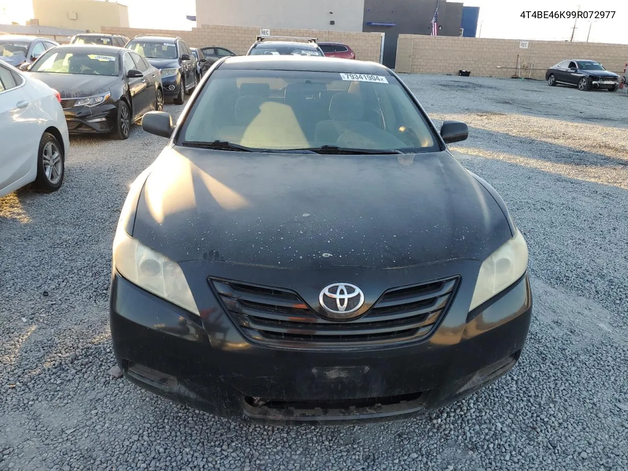 2009 Toyota Camry Base VIN: 4T4BE46K99R072977 Lot: 79341904