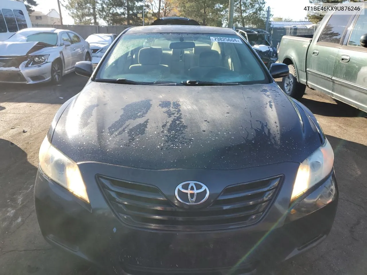 2009 Toyota Camry Base VIN: 4T1BE46KX9U876246 Lot: 79825604