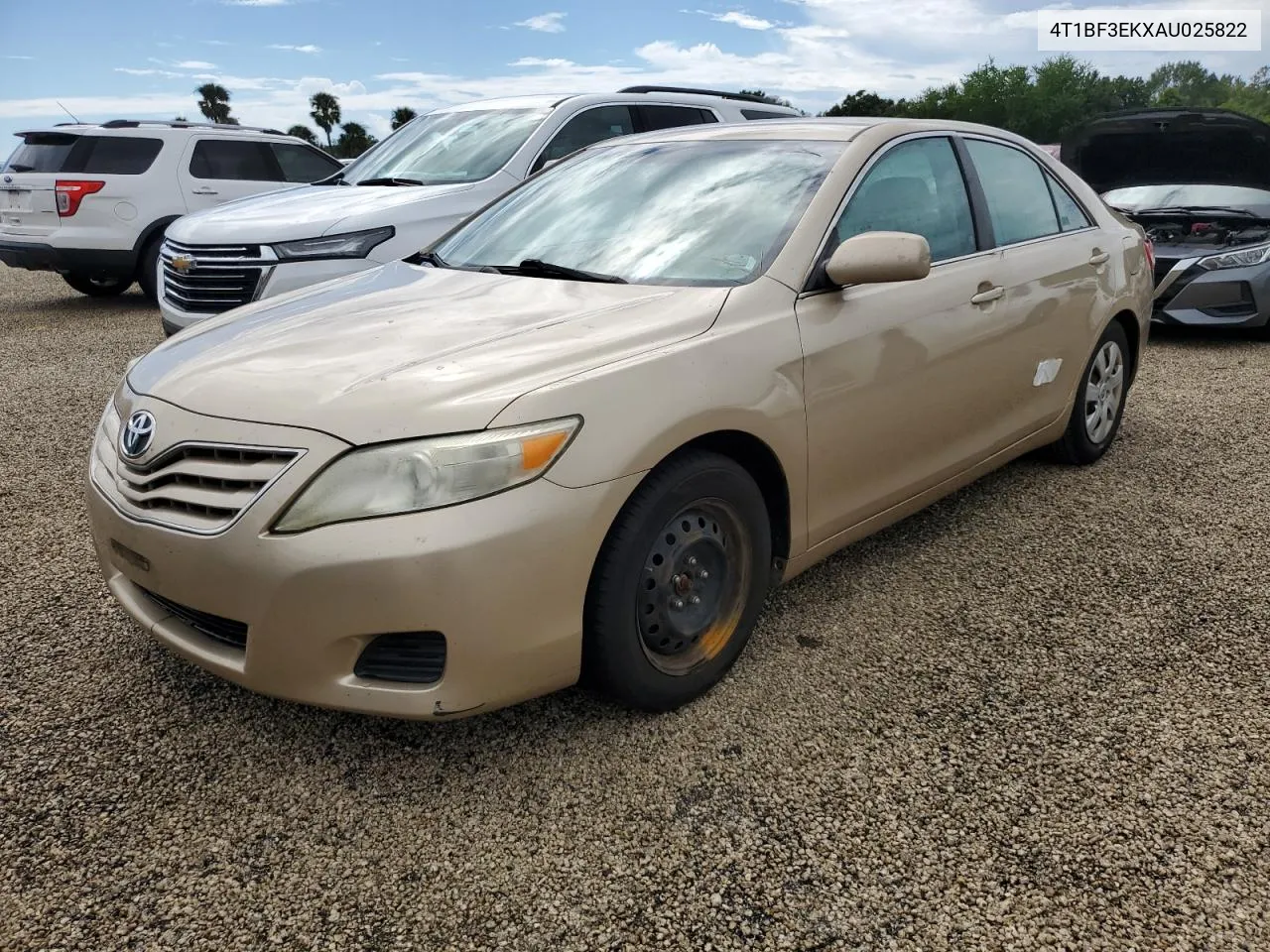 2010 Toyota Camry Base VIN: 4T1BF3EKXAU025822 Lot: 74421884